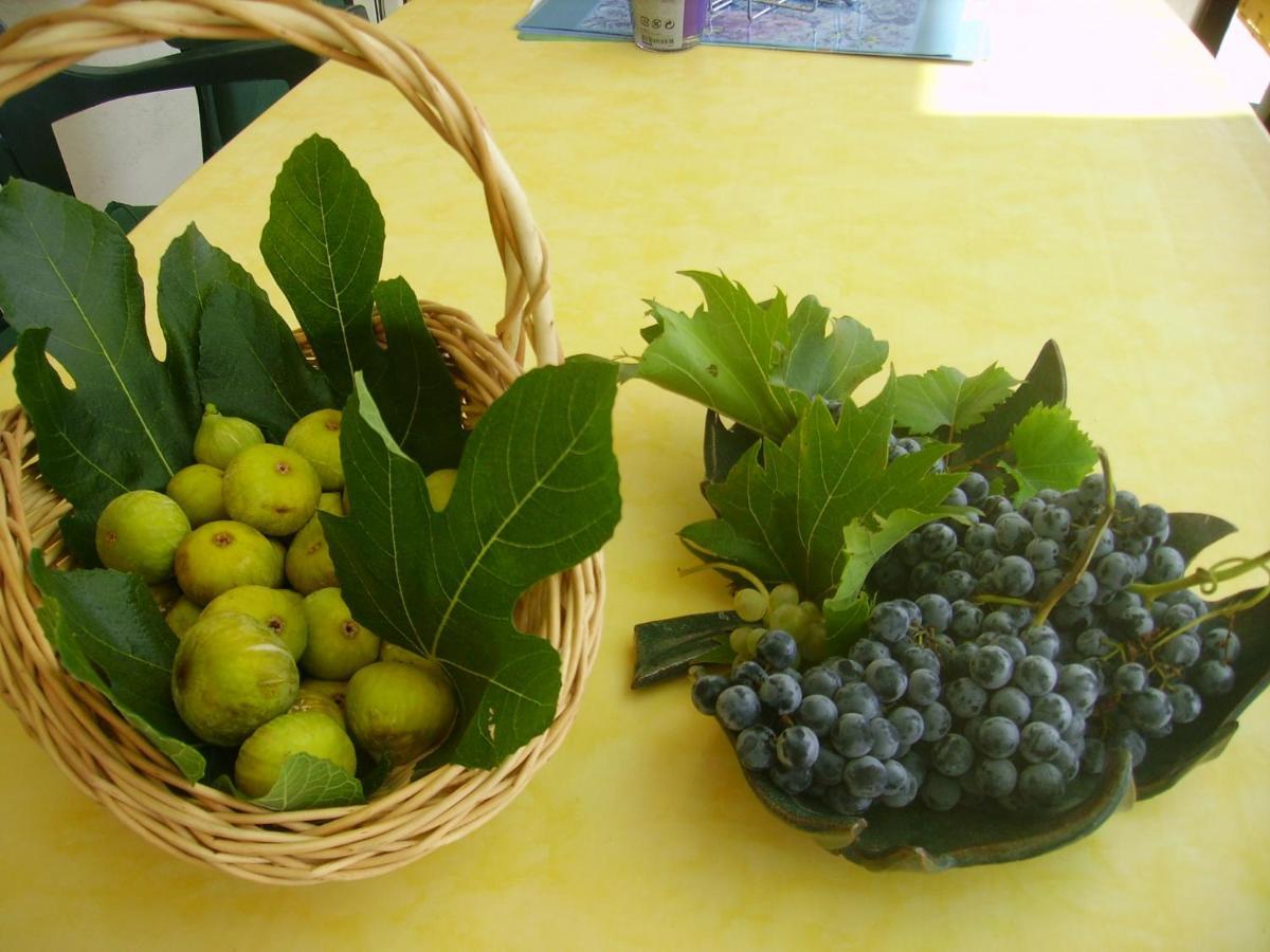 Apartmani Braut Kornić Zewnętrze zdjęcie